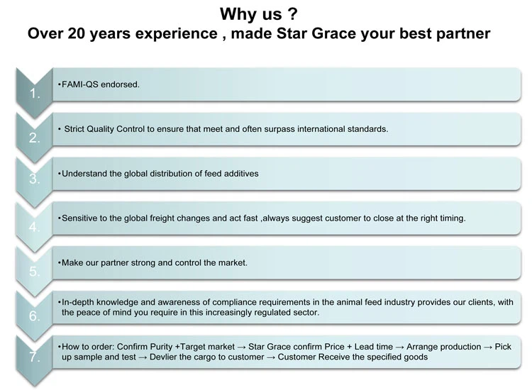 1 Why Star Grace Mining