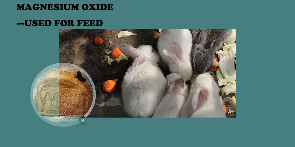 FEED