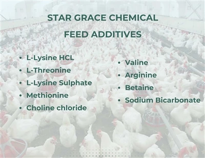 Une nouvelle société de trading d'acides aminés # star Grace