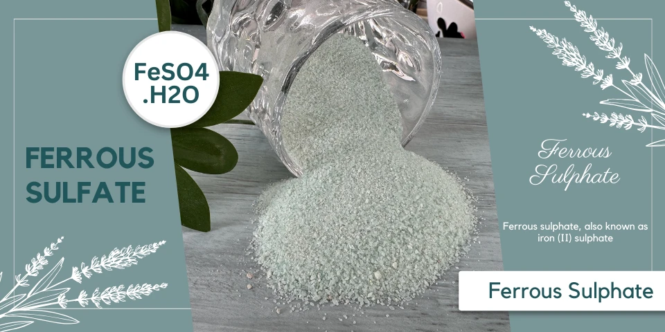 product-960-480 product-960-480