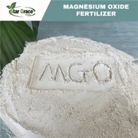 Poudre de magnésite calcinée caustique 65 %