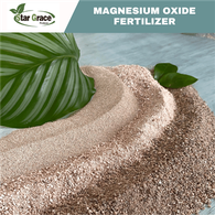 Poudre de magnésite calcinée caustique 90 %