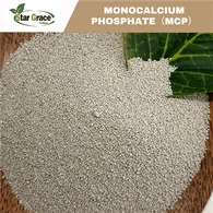 Phosphate dicalcique dans la production végétale
