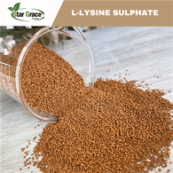 Sulfate de L-lysine 70 %