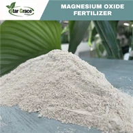 Poudre d'oxyde de magnésium pour panneau MgO