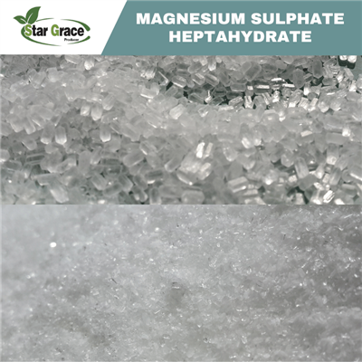 Sulfate de magnésium heptahydraté 98%