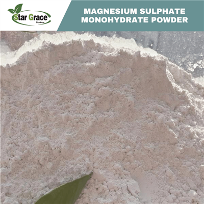 Poudre de sulfate de magnésium monohydraté MgSO4·H2O