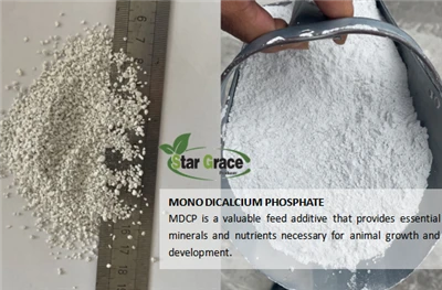 Le phosphate monodicalcique (MDCP) améliore la qualité du poisson et des produits de la mer