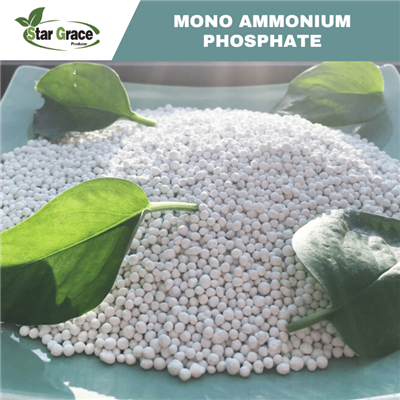 Engrais au phosphate monoammonique