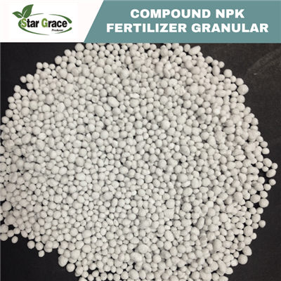 Engrais NPK pour plante