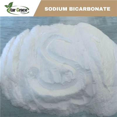 Magasin d'aliments pour bicarbonate de sodium