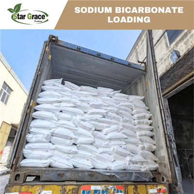 Fonction bicarbonate de sodium pour les chevaux