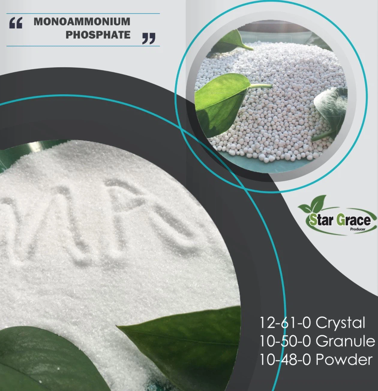 PRIX DE LA CARTE DU PHOSPHATE MONOAMMONIQUE MIS À JOUR