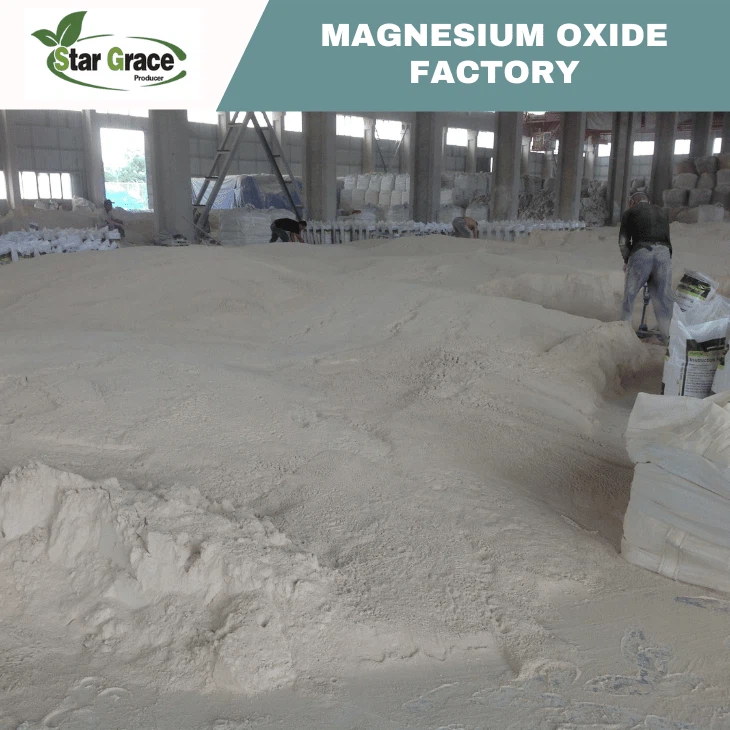 Caustic Calcined Magnesia Magnesium Oxide Powder