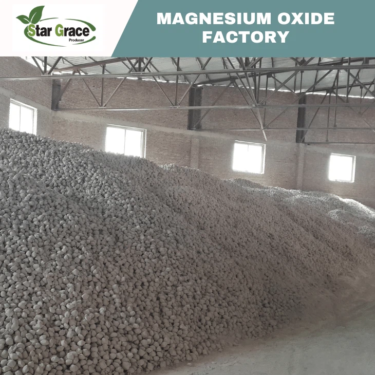 Caustic Calcined Magnesia Magnesium Oxide Powder
