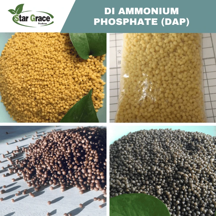 Di-Ammonium Phosphate