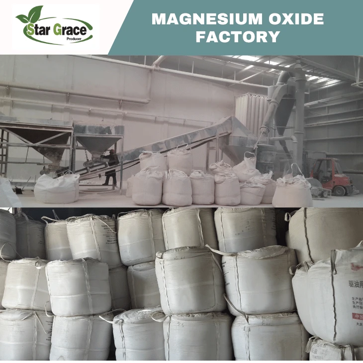MgO CCM Caustic Calcined Magnesia Powder