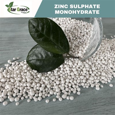 Sulfate de zinc (ZnSO4)